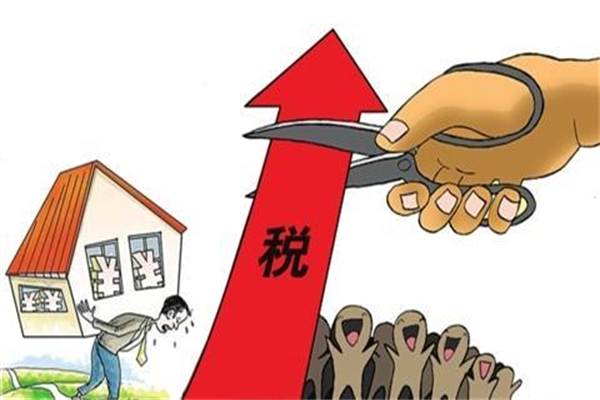 合肥动物园国字脸猴因丑萌出圈,保育员:确实比其他猴类更聪明_李洁敏_李金_卷尾猴