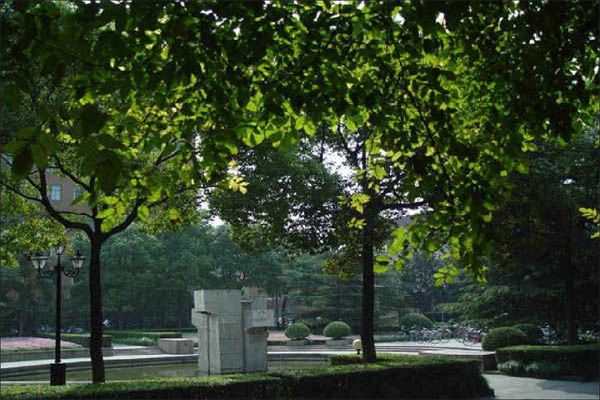 4月2日基金净值:圆信永丰聚优股票A最新净值10855