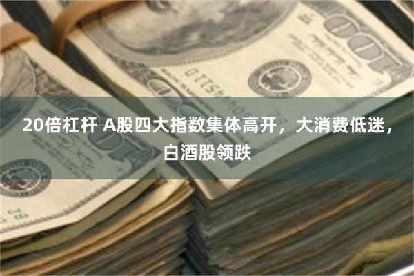 20倍杠杆 A股四大指数集体高开，大消费低迷，白酒股领跌