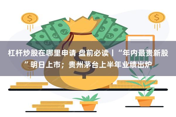 杠杆炒股在哪里申请 盘前必读丨“年内最贵新股”明日上市；贵州茅台上半年业绩出炉