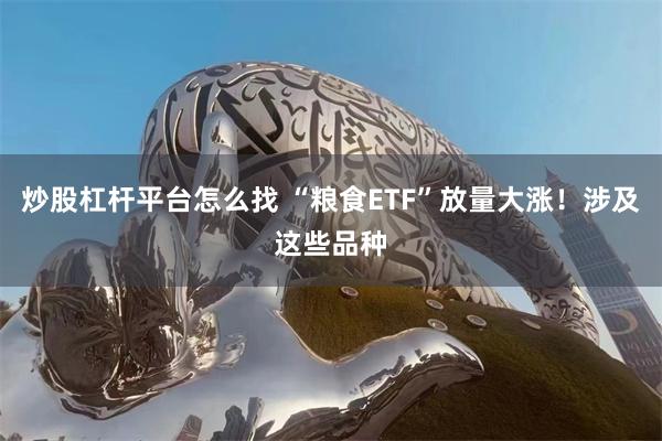 炒股杠杆平台怎么找 “粮食ETF”放量大涨！涉及这些品种