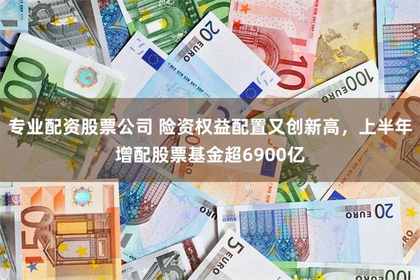 专业配资股票公司 险资权益配置又创新高，上半年增配股票基金超6900亿