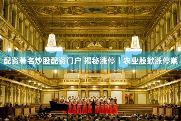 配资著名炒股配资门户 揭秘涨停丨农业股掀涨停潮