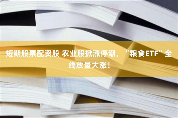 短期股票配资股 农业股掀涨停潮，“粮食ETF”全线放量大涨！