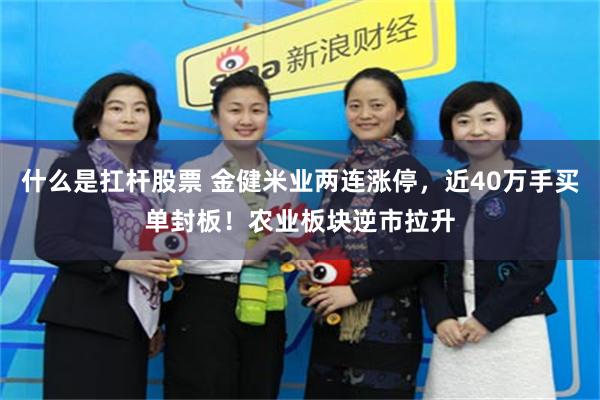 什么是扛杆股票 金健米业两连涨停，近40万手买单封板！农业板块逆市拉升