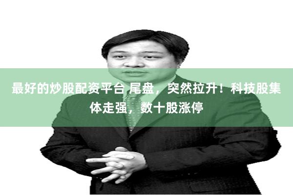 最好的炒股配资平台 尾盘，突然拉升！科技股集体走强，数十股涨停