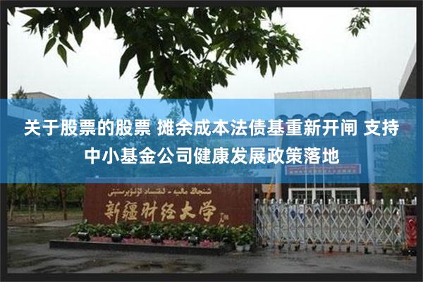 关于股票的股票 摊余成本法债基重新开闸 支持中小基金公司健康发展政策落地