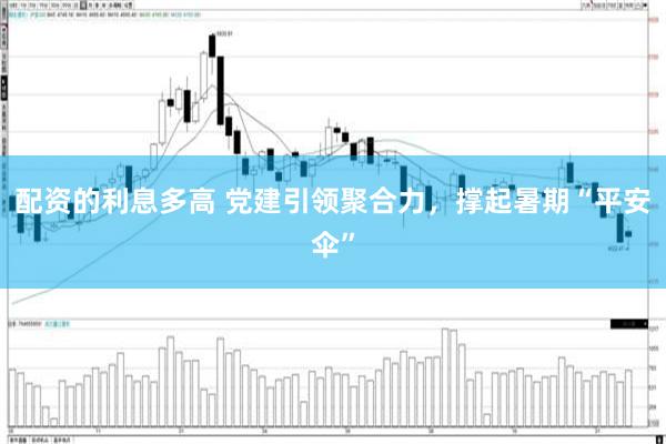 配资的利息多高 党建引领聚合力，撑起暑期“平安伞”