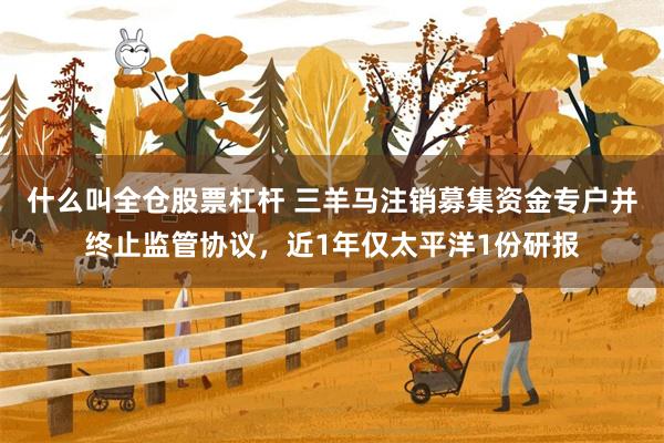 什么叫全仓股票杠杆 三羊马注销募集资金专户并终止监管协议，近1年仅太平洋1份研报