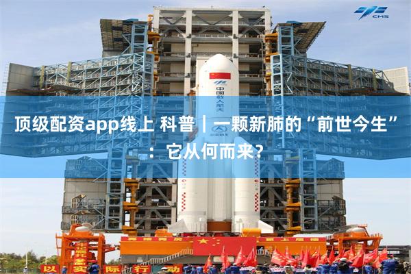 顶级配资app线上 科普｜一颗新肺的“前世今生”：它从何而来？