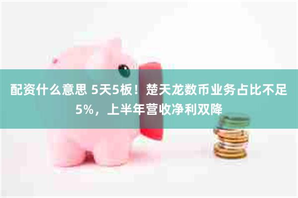 配资什么意思 5天5板！楚天龙数币业务占比不足5%，上半年营收净利双降