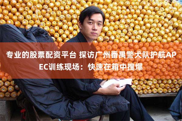 专业的股票配资平台 探访广州番禺警犬队护航APEC训练现场:快速在箱中搜爆