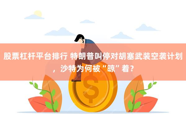 股票杠杆平台排行 特朗普叫停对胡塞武装空袭计划,沙特为何被“晾”着?