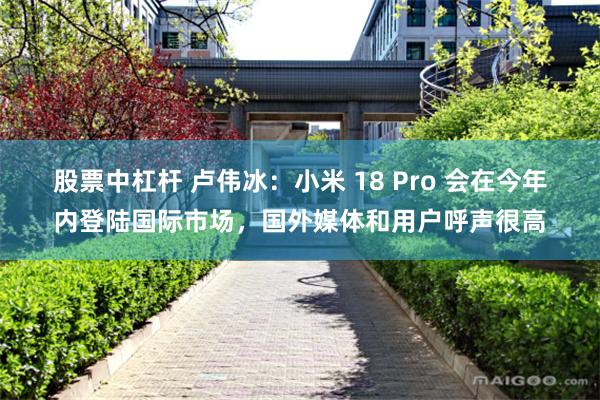股票中杠杆 卢伟冰：小米 18 Pro 会在今年内登陆国际市场，国外媒体和用户呼声很高