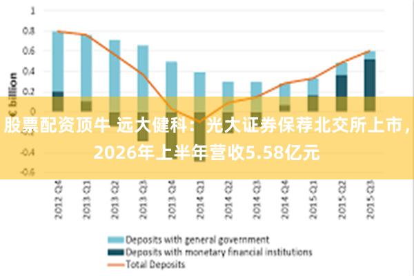 股票配资顶牛 远大健科：光大证券保荐北交所上市，2026年上半年营收5.58亿元