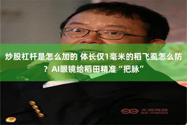 炒股杠杆是怎么加的 体长仅1毫米的稻飞虱怎么防？AI眼镜给稻田精准“把脉”