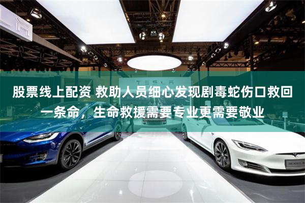 股票线上配资 救助人员细心发现剧毒蛇伤口救回一条命，生命救援需要专业更需要敬业