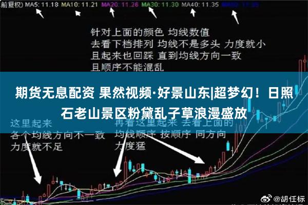 期货无息配资 果然视频·好景山东|超梦幻！日照石老山景区粉黛乱子草浪漫盛放