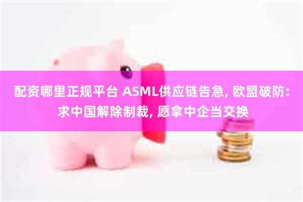 配资哪里正规平台 ASML供应链告急, 欧盟破防: 求中国解除制裁, 愿拿中企当交换